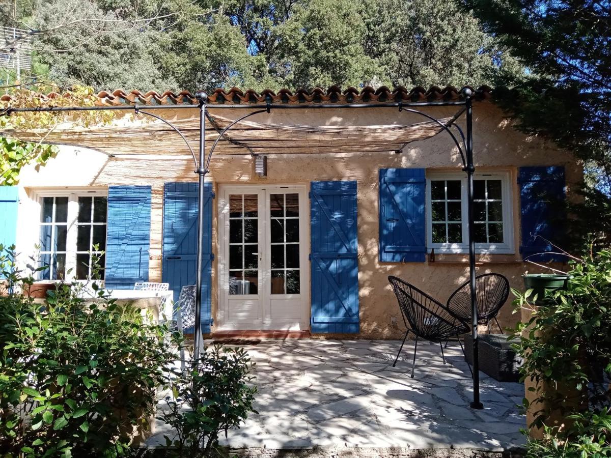 Au Mas Saint Pierre Hotel Pignans Eksteriør billede
